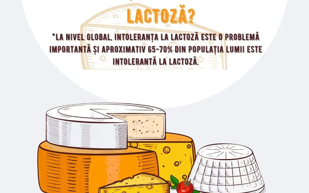 Știai că brânza cheddar are un conținut scăzut de lactoză?